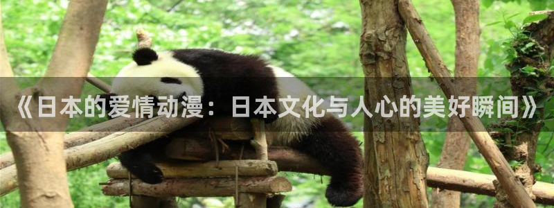 风车动漫手机动漫：《日本的爱情动漫：日本文化与人心的美好瞬间》