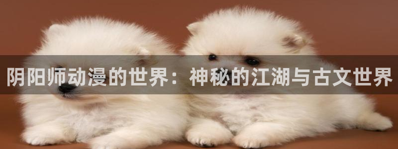 新风车动漫网：阴阳师动漫的世界：神秘的江湖与古文世界