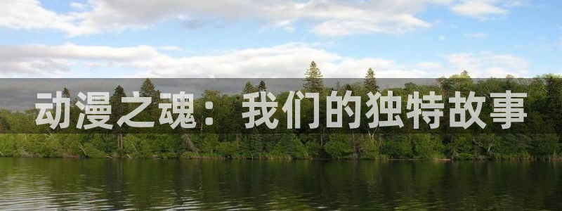 全职高手第三季风车动漫：动漫之魂：我们的独特故事