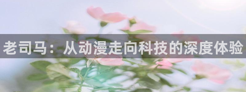 风车动漫2：老司马：从动漫走向科技的深度体验