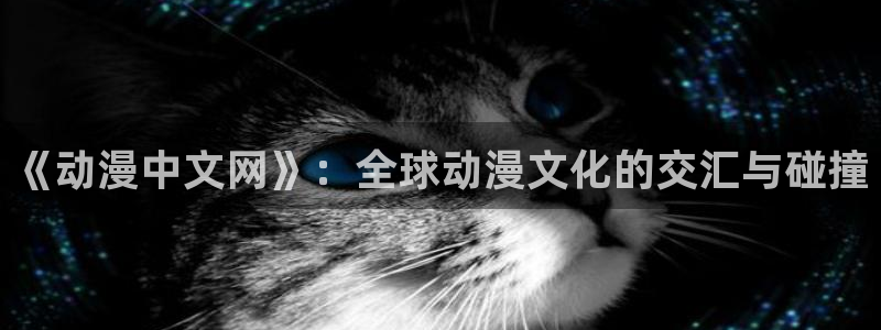 龙珠风车动漫：《动漫中文网》：全球动漫文化的交汇与碰撞