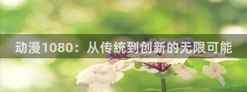 a风车动漫：动漫1080：从传统到创新的无限可能
